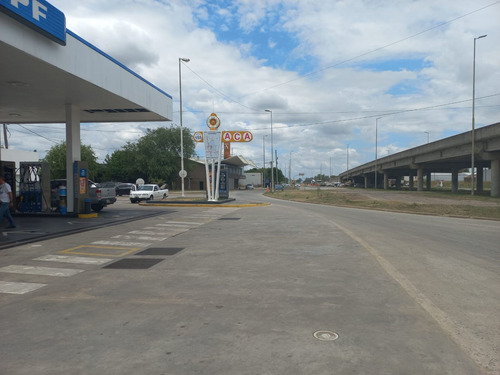 Imagen 8 de 22 de Lote De 10.000 Metros En Chascomús