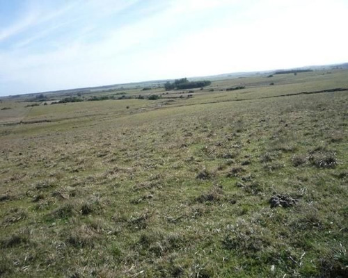 Campo En Venta