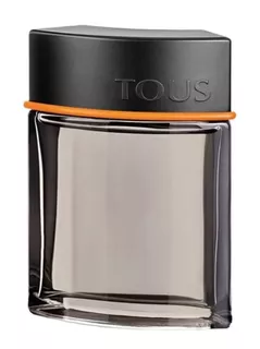 Tous Man Intense 100ml Edt Spray