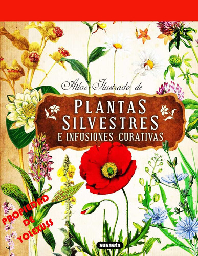 Atlas Ilustrado De Plantas Silvestres E Infusiones Curativas