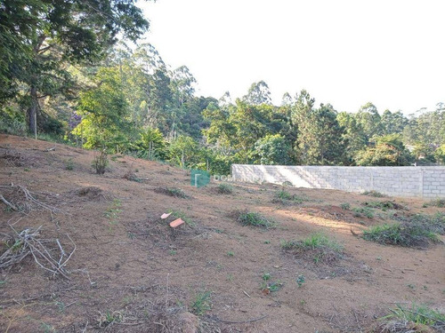 Imagem 9 de 10 de Terreno À Venda, 1000 M² Por R$ 250.000,00 - Nova Califórnia - Juiz De Fora/mg - Te0238