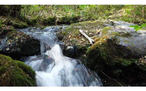 Plot In Pucón, Los Riscos Safe Investment