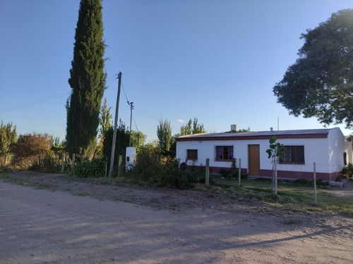 Vendo O Permuto, Finca Con Dos Casas Y Galpon- Villa Atuel Mendoza