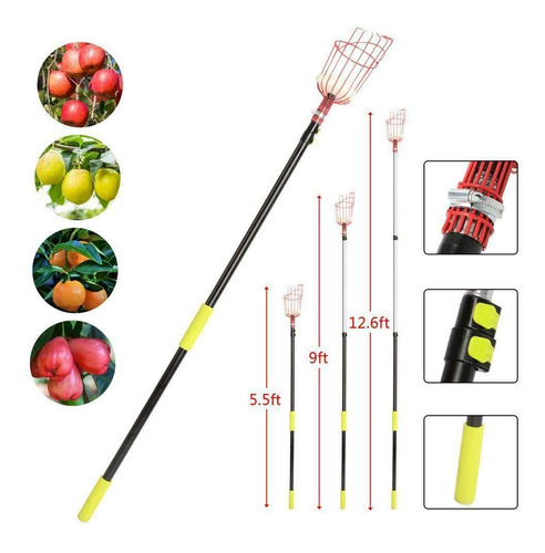 Recolector De Frutas Con Extensión 4-12 Pies