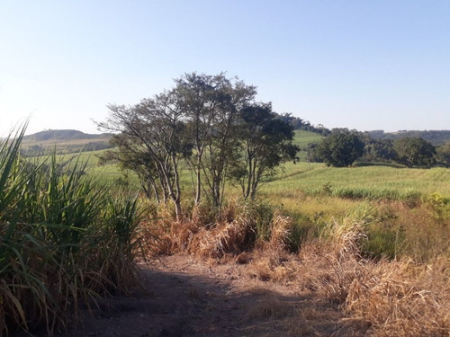Imagem 15 de 30 de Sítio À Venda, 158994 M² Por R$ 700.000,00 - Santa Terezinha - Piracicaba/sp - Si0028