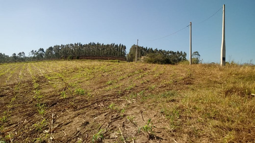 Imagem 17 de 17 de Chácara 34000m2, 800mts Do Asfalto,casa Simples, 25 Kms Da Cidade De São Miguel Arcanjo - Ch00085 - 69536980