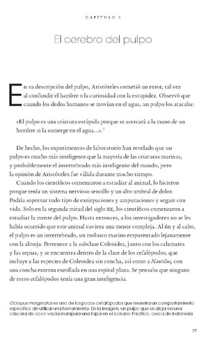 Los Pulpos - La Vida De Unos Seres Extraordinarios