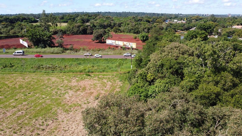 Imagem 5 de 6 de Área À Venda, 11000 M² Por R$ 5.000.000,00 - Vila Yolanda - Foz Do Iguaçu/pr - Ar0009