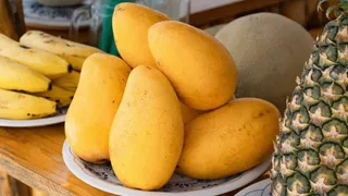 Mango Ataulfo No Semilla Arbolitofrutal Injerto De Calidad