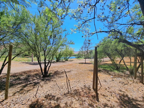 Imagen 10 de 11 de Hacienda De Chacabuco. Excelente Sitio En Venta