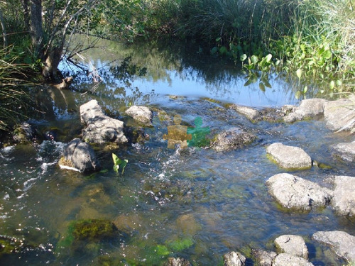 Imagen 3 de 18 de Campo 96 Has En Carape Cuenta Con Costa De Arroyo. - Ref : Eqp2775