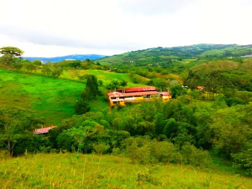 Restrepo, Finca Ganadera Y Para Agricultura, Área 19.6 Plazas