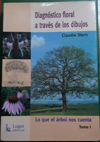 Diagnóstico Floral A Través De Los Dibujos T 1 Claudia Stern