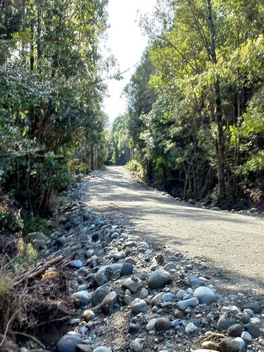 Imagen 7 de 23 de Agrícola En Venta En Puerto Montt