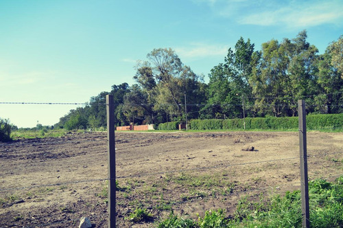 Imagen 8 de 17 de Terreno - Tristan Suarez