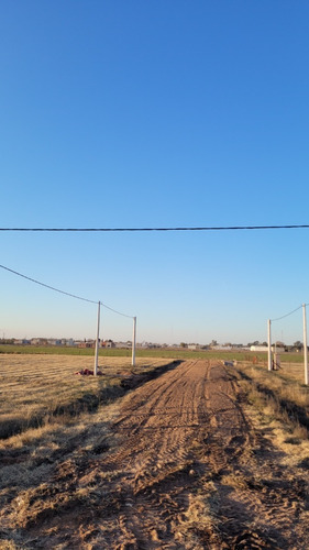 Amaneceres Del Sur, Lanzamiento Loteo En Saladillo-posesion Inmediata