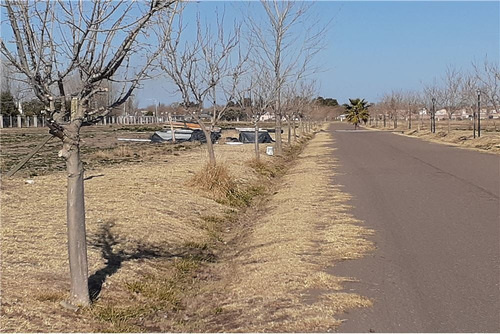 Imagen 13 de 30 de Barrio Viñas Del Sur Lotes, A Medida, Pre-venta