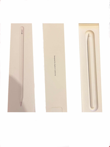 Apple Pencil 2da Generación (Usado)
