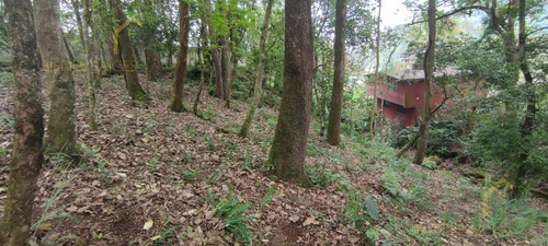 Terreno Enventa En Piedra De Agua En Jilotepec Veracruz