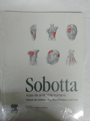 Atlas De Anatomia Humana Tablas De Musculos, Articulaciones 
