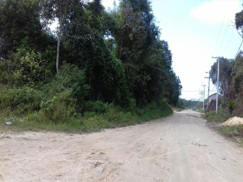 Imagem 1 de 2 de Terreno - Venda - Coronel - Itanhaem - Ita2113