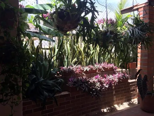 Finca En Venta En San Jerónimo. Cod V11699