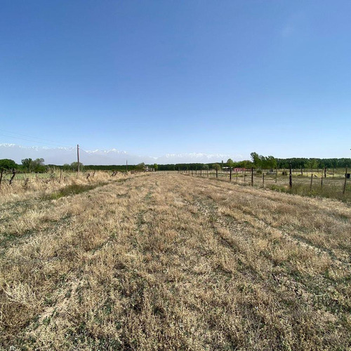 Venta | Terreno | Vista Flores | Tunuyán | Valle De Uco | 2.178 M2