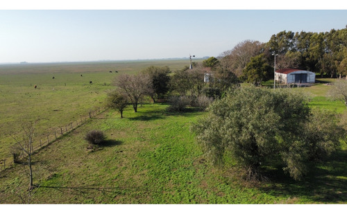 Campo En San Vicente. 514 Has. Ganadero