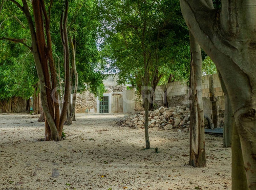 Casa En Venta En El Centro, Mérida, Yucatán