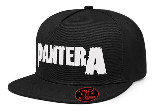 Gorra Plana Snapback Pantera Banda De Metal