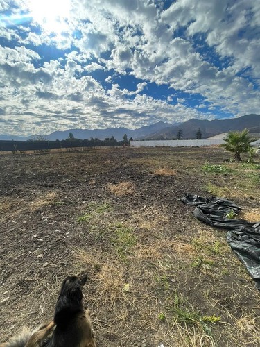 Agrícola En Arriendo En Quillota
