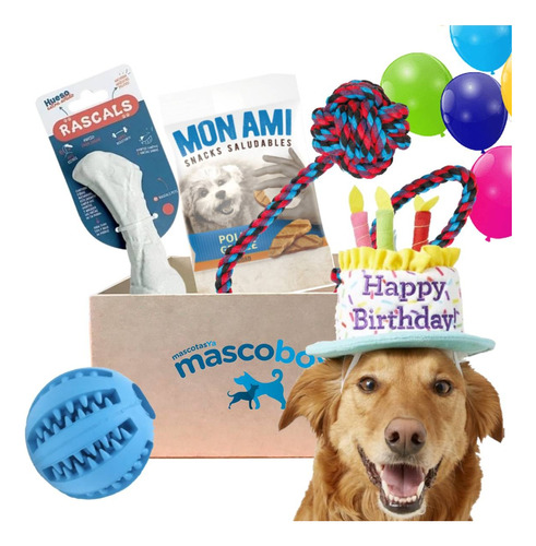 Mascobox Cumpleaños Regalo Juguetes Kit Pelota Perro Grande 