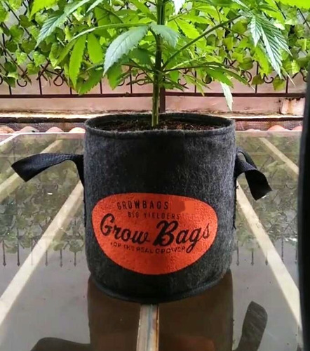Imagen 5 de 10 de Maceta 10 L Profesional Para Jardín Y Plantas Propot