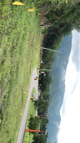Imagen 11 de 13 de Lote De 71.66 M2