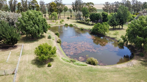 Imagen 10 de 30 de Terreno - Mar Del Plata - Pileta - Mar - Country - Barrio Privado - Golf - Costa Atlántica