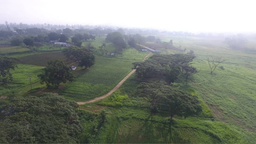 Finca De 58 H.a 90% Plana En Bejuma - Carabobo Blk