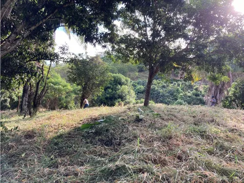 Vendo Lote En Anapoima