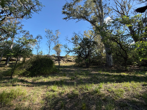 Terreno En Venta Con Costa De Rio - 3990 Metros - Escritura
