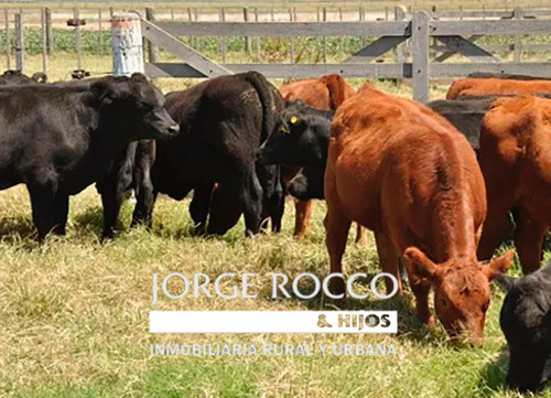 Campo En Venta En Ranchos. 682 Has Mixto