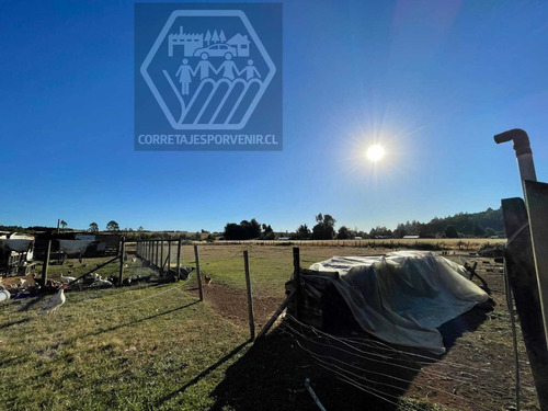 Parcela De 1ha En Venta A 11km De Quepe (96598)