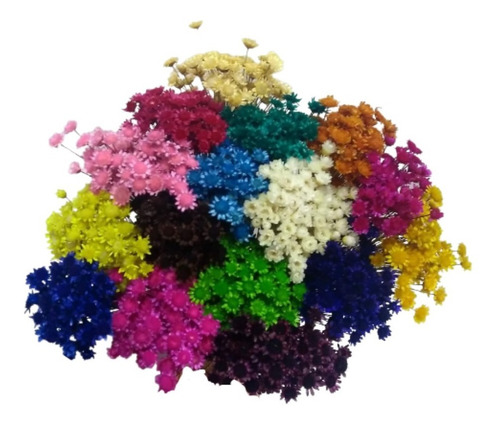 Imagem 1 de 5 de Sempre Viva 500 Flores Para Arranjos Convites Casamento Fest