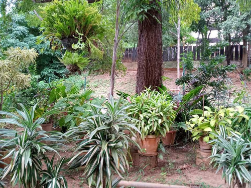 Imagen 4 de 27 de Vendo Apartamento 96.22m2 3h/2b/1pe El Marqués
