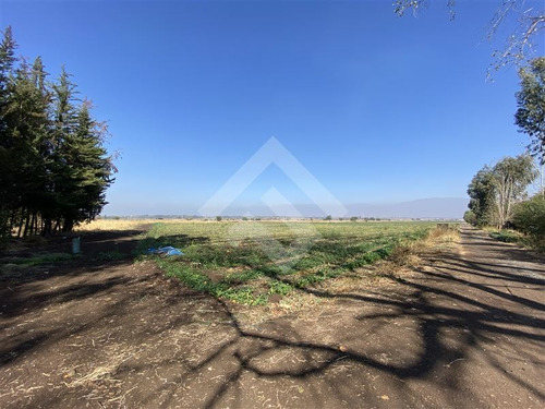 Imagen 7 de 12 de Venta Sitio Lampa Panamericana Norte 11 Hectáreas