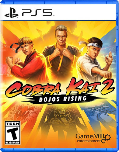 Cobra Kai 2 Dojos Rising Juego Fisico Para Playstation 5 Ps5