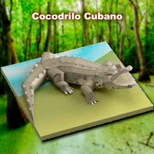 Cocodrilo Cubano Papercraft Armado En Papel 3d