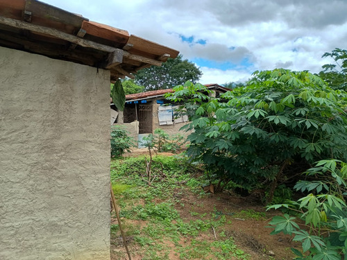 Chácara Com Casa Três Quartos Sala De Estar Cozinha E Dois B