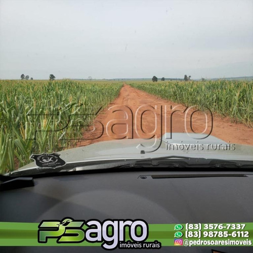 Imagem 13 de 16 de Fazenda À Venda, 350 Alqueires Por R$ 66.350.000 - Centro - Iepê/sp - Fa0171