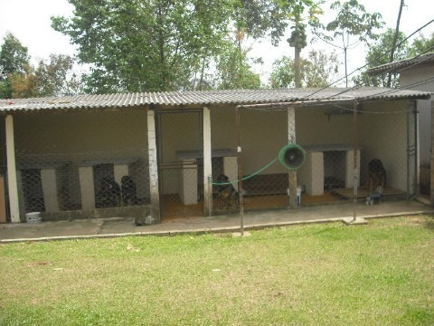 Rural - Venda - Santa Gertrudes - Cod. 81 - V81
