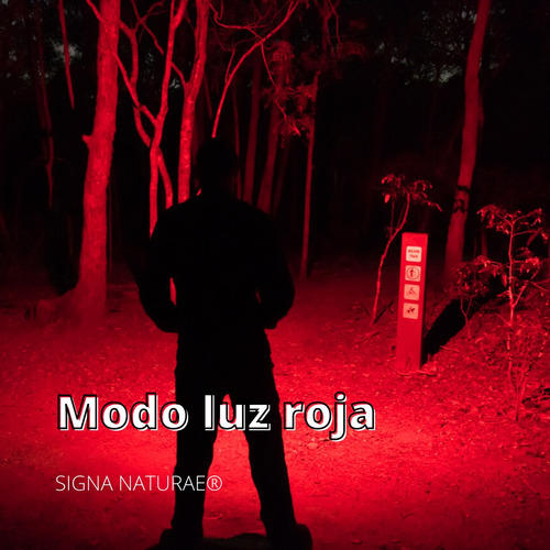 Imagen 7 de 11 de Linterna De Cabeza Recargable Nitecore Nu25 - Trekking