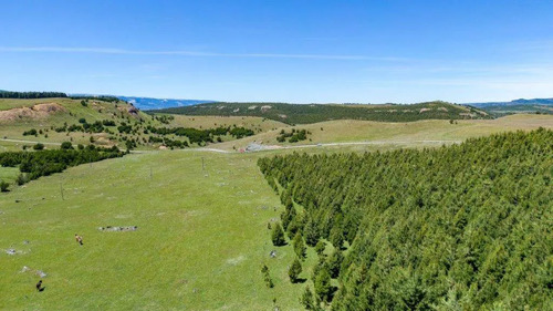 Parcelas En Cerro Galera 5.000 M², Coyhaique (172837)